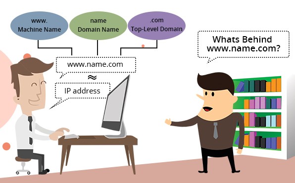 Domain Name