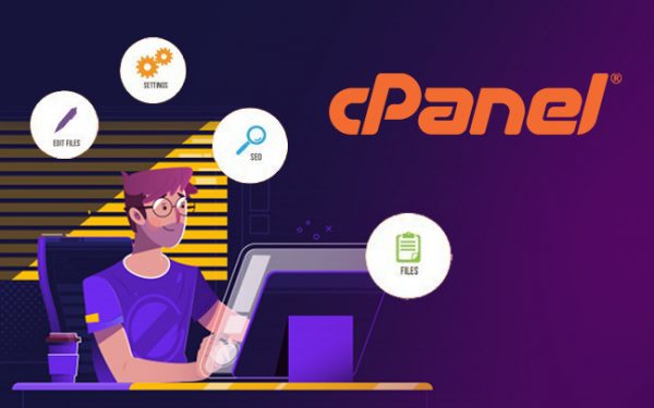 cPanel for Beginners