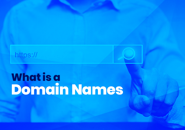 What is a Domain Name?