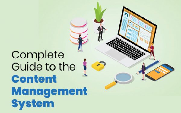 Complete Guide to the Content Management System