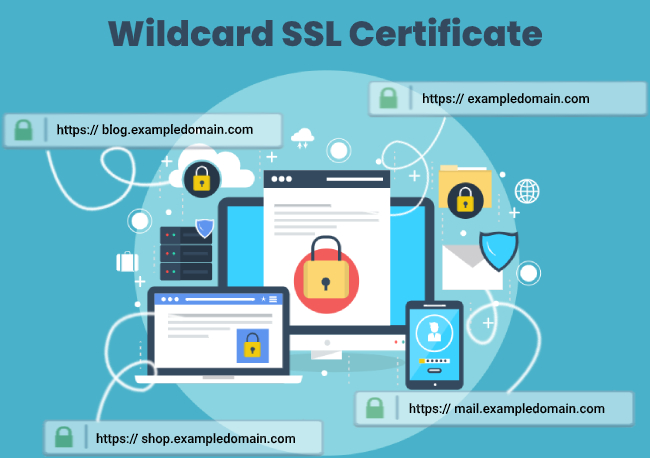 Wildcard SSL Certificate